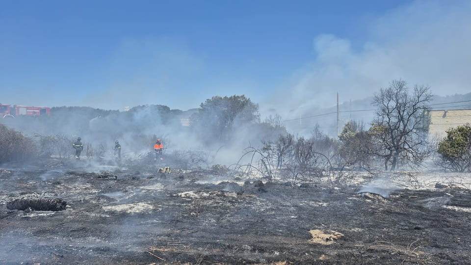 incendio pineta Castel Fusano 8 agosto 2026, vigili del fuoco spengono le fiamme